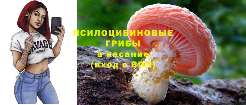 как найти закладки  Ирбит  Псилоцибиновые грибы MAGIC MUSHROOMS 